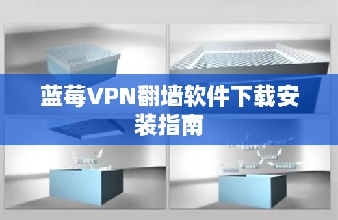 蓝莓VPN翻墙软件下载安装指南
