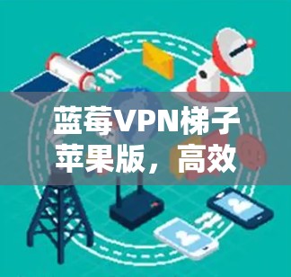 蓝莓VPN梯子苹果版，高效隐私防护解决方案