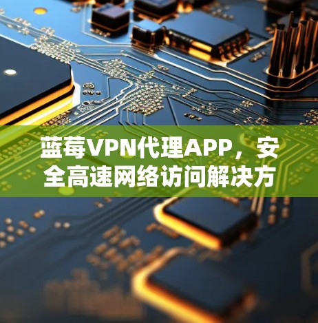 蓝莓VPN代理APP，安全高速网络访问解决方案