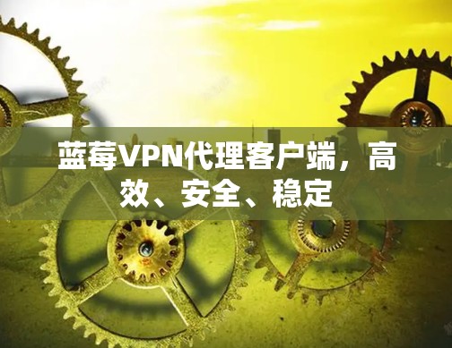 蓝莓VPN代理客户端，高效、安全、稳定