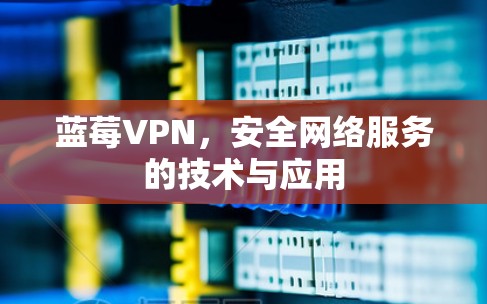 蓝莓VPN，安全网络服务的技术与应用