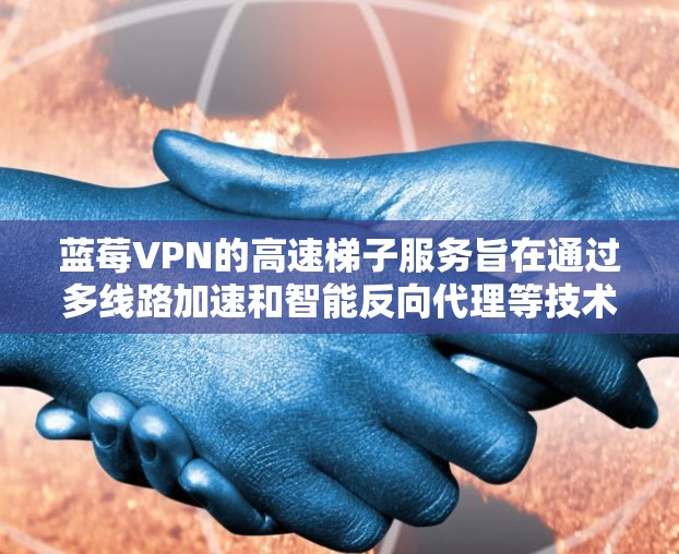 蓝莓VPN的高速梯子服务旨在通过多线路加速和智能反向代理等技术，提升网络访问速度和稳定性。以下是对该服务的详细分步说明