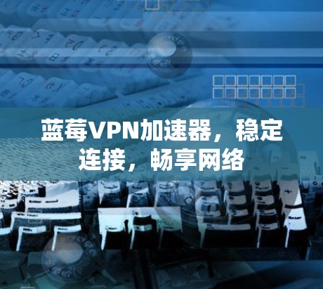 蓝莓VPN加速器，稳定连接，畅享网络