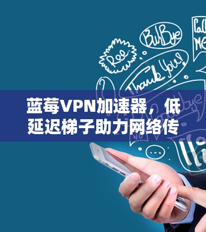 蓝莓VPN加速器，低延迟梯子助力网络传输革命