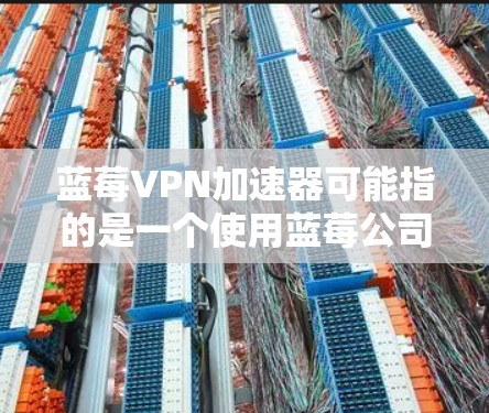 蓝莓VPN加速器可能指的是一个使用蓝莓公司相关技术或服务的VPN加速工具，而低延迟机场可能是指在机场环境中寻找具有低延迟的网络服务或VPN加速节点
