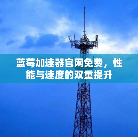 蓝莓加速器官网免费，性能与速度的双重提升
