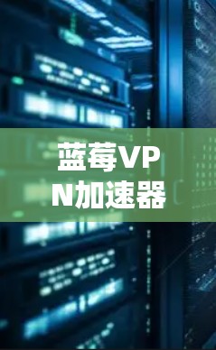 蓝莓VPN加速器，国际高速网关解锁无限制访问