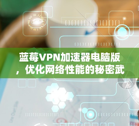 蓝莓VPN加速器电脑版，优化网络性能的秘密武器