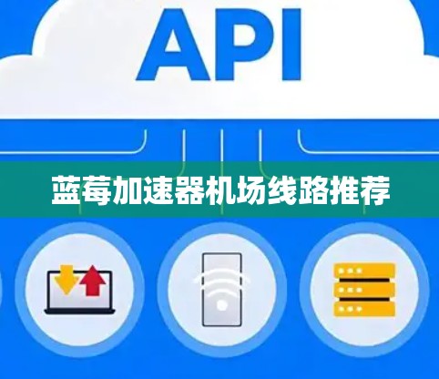蓝莓加速器机场线路推荐