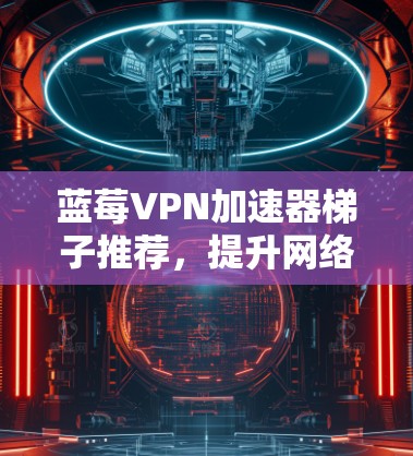 蓝莓VPN加速器梯子推荐，提升网络效率与安全性