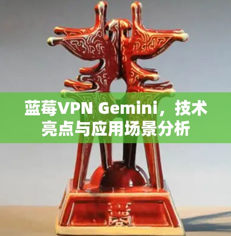蓝莓VPN Gemini，技术亮点与应用场景分析